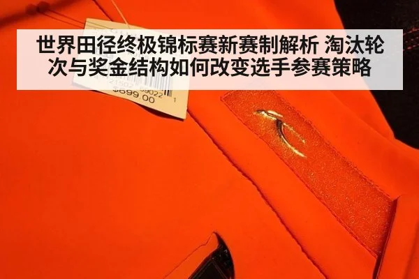 世界田径终极锦标赛新赛制解析 淘汰轮次与奖金结构如何改变选手参赛策略 - jiuyou game